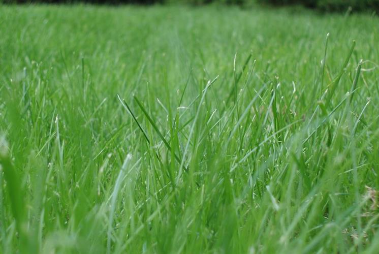 Topdressing, all-round